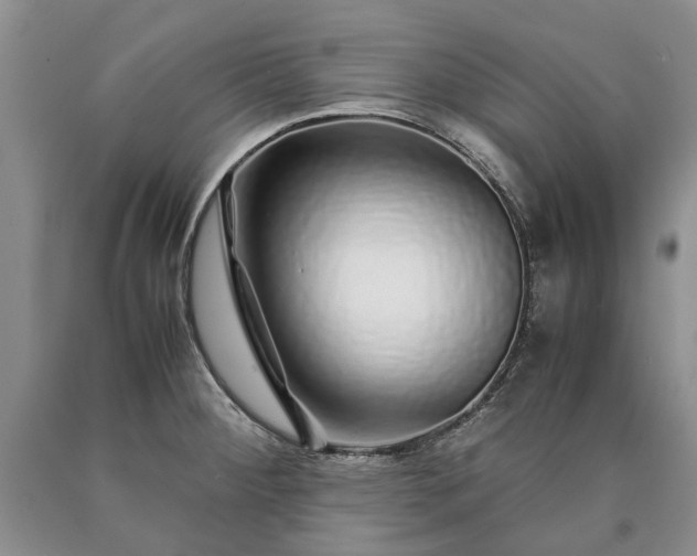 X0000090451284200707201306