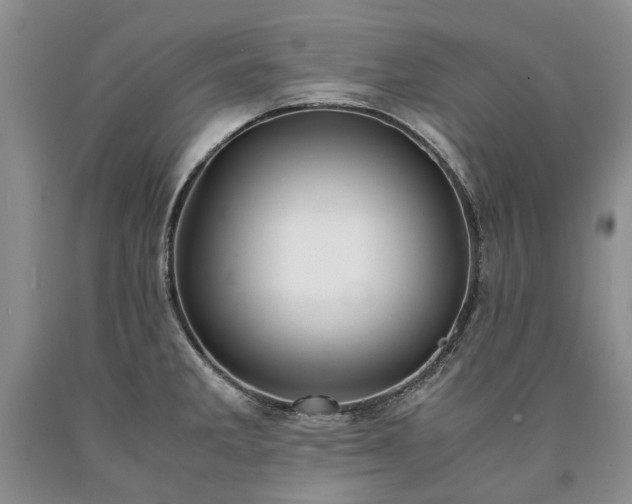 X0000090451285200707201306