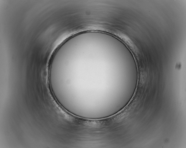 X0000090451286200707201306