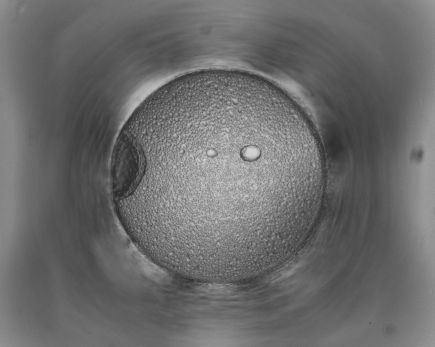 X0000090451287200707201306