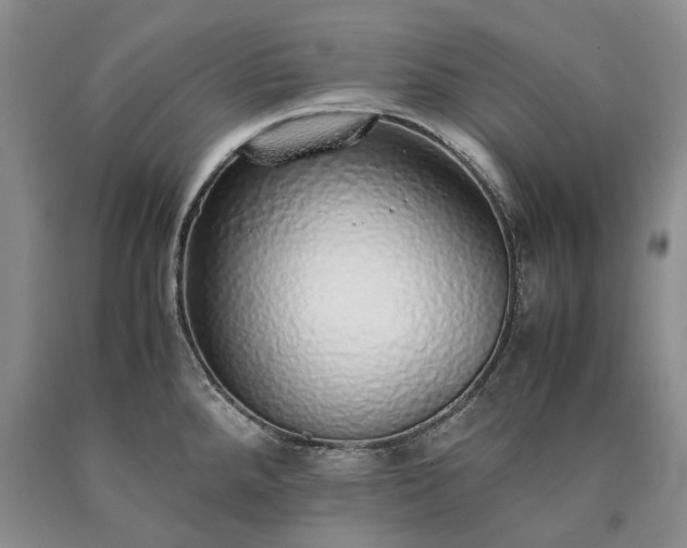 X0000090451288200707201306