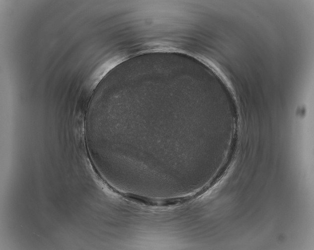 X0000090451289200707201306