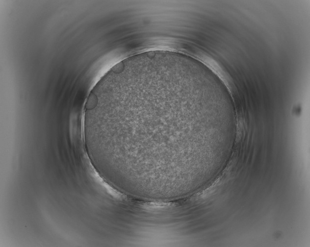 X0000090451290200707201306