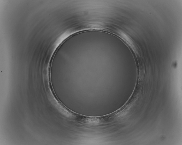 X0000090451291200707201306