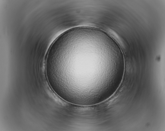 X0000090451292200707201306