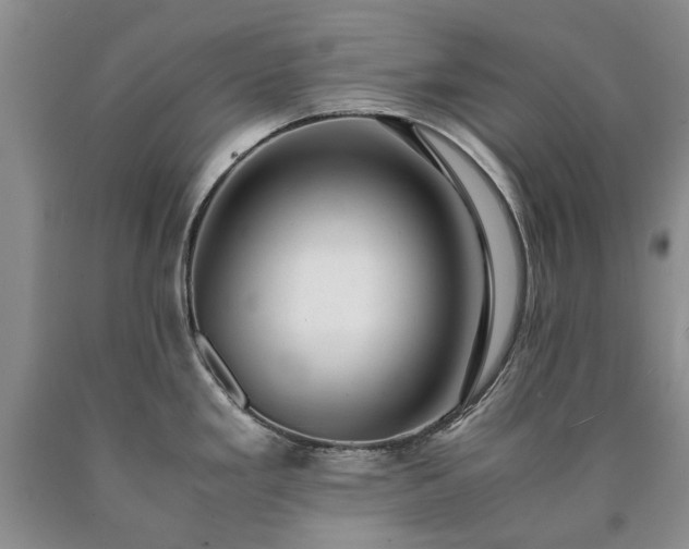 X0000090451293200707201306