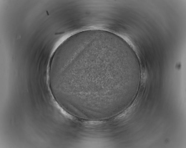 X0000090451294200707201306