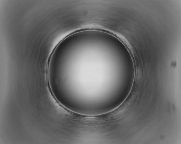 X0000090451295200707201306
