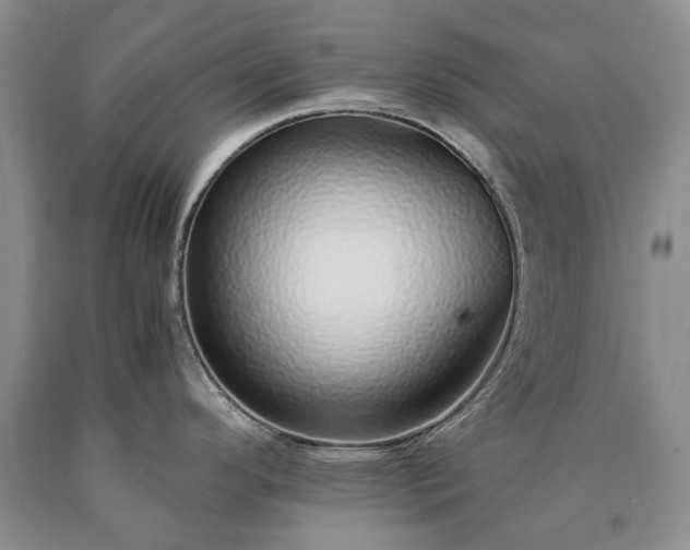X0000090451296200707201306