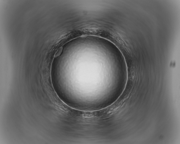 X0000090451297200707201305
