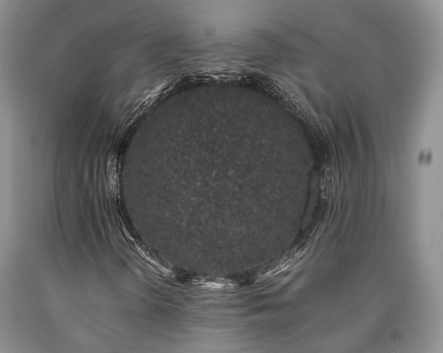 X0000090451298200707201305
