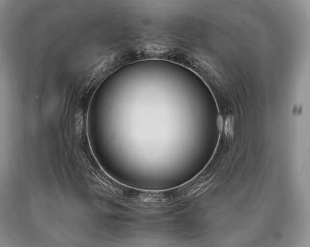 X0000090451299200707201305