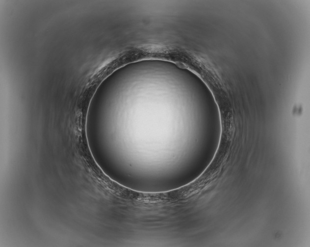 X0000090451301200707201305