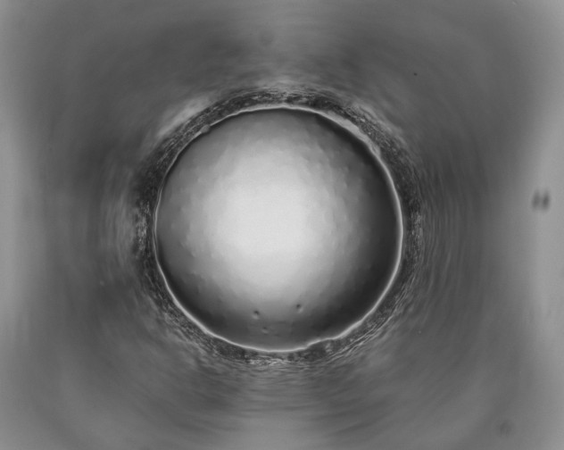 X0000090451302200707201305