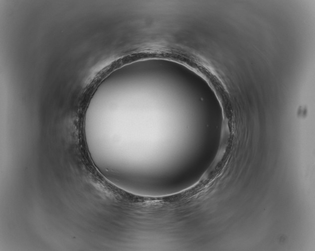 X0000090451304200707201305