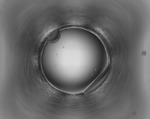 X0000090451307200707201305