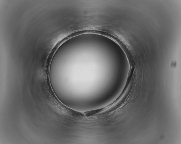 X0000090451308200707201305