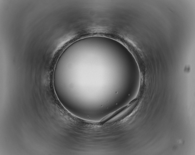 X0000090451309200707201305