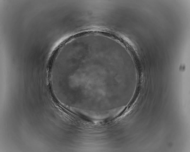 X0000090451310200707201305