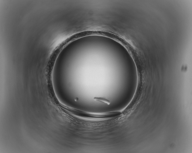 X0000090451311200707201305