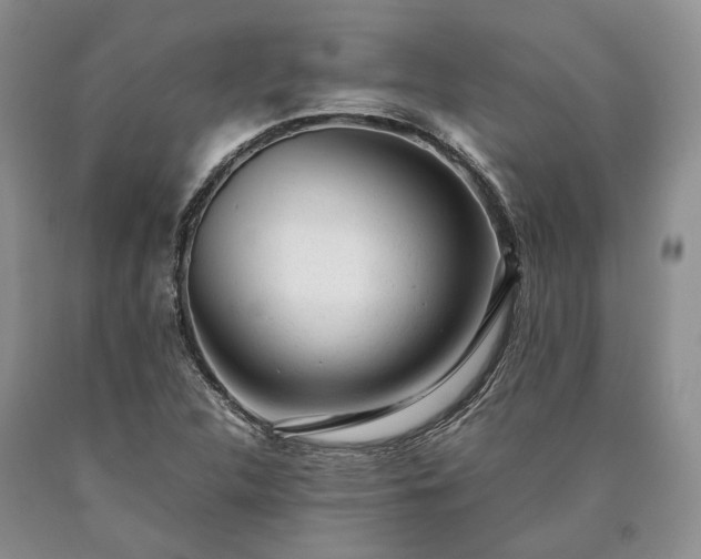 X0000090451312200707201305
