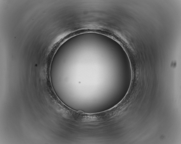 X0000090451315200707201306