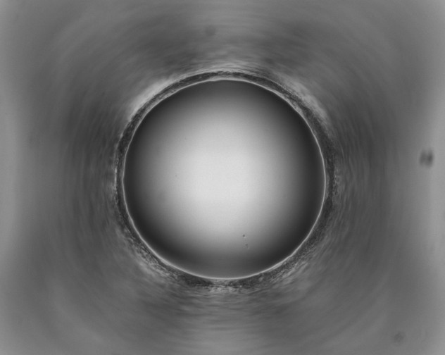 X0000090451316200707201306