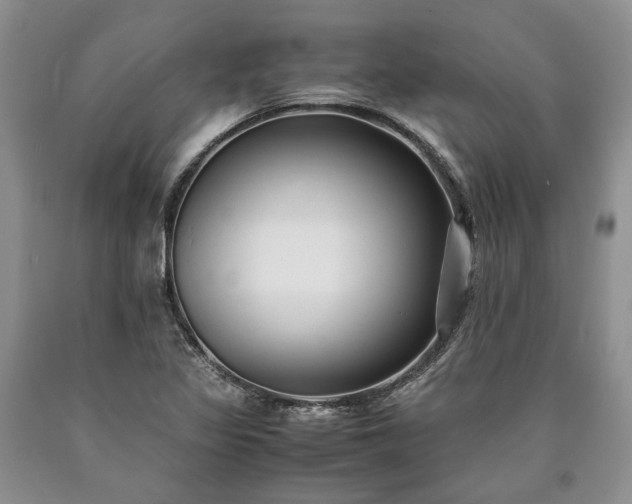 X0000090451317200707201306