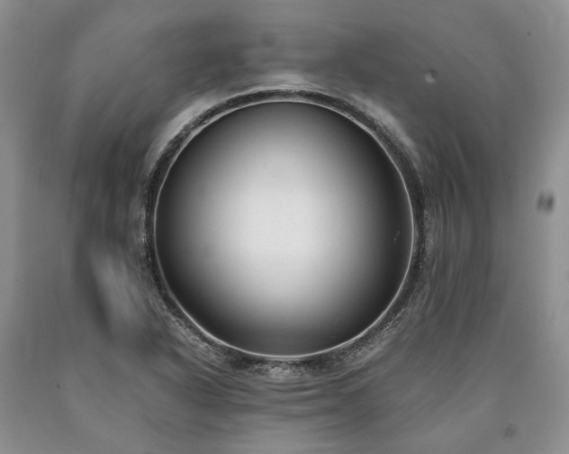 X0000090451318200707201306