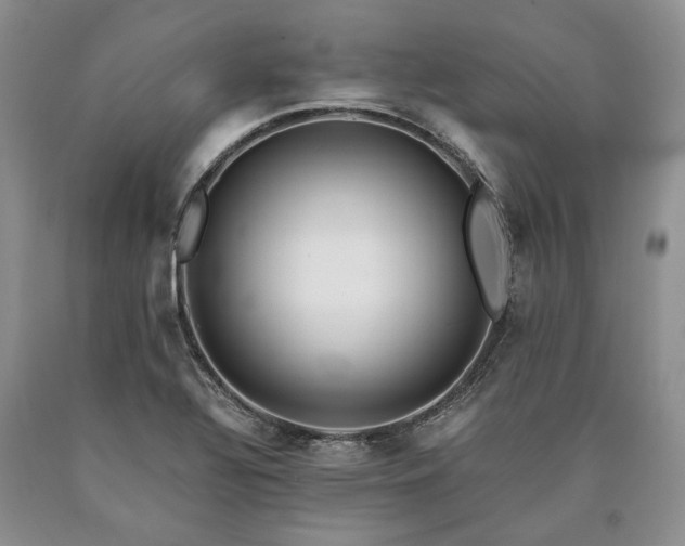 X0000090451320200707201306