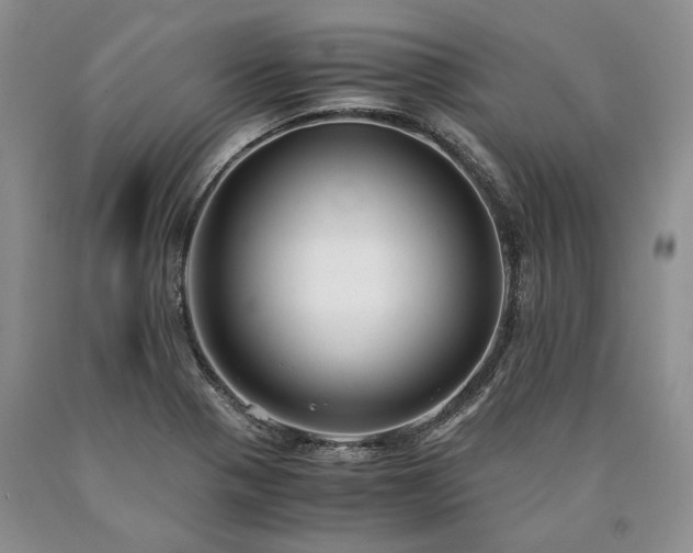 X0000090451321200707201306