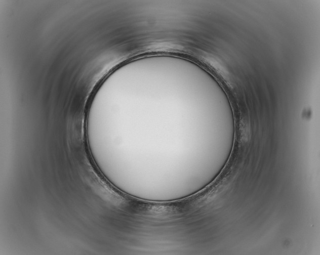X0000090451322200707201306