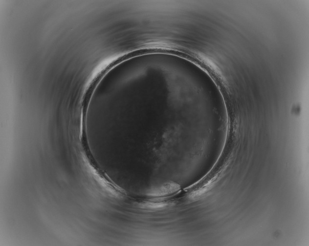 X0000090451323200707201306