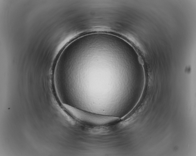 X0000090451325200707201306