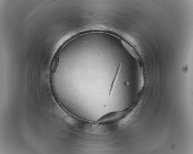 X0000090451326200707201306