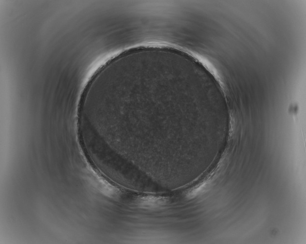 X0000090451327200707201306