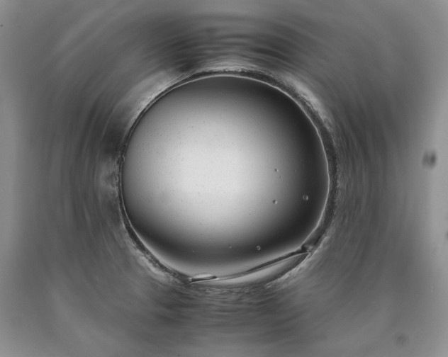X0000090451329200707201306