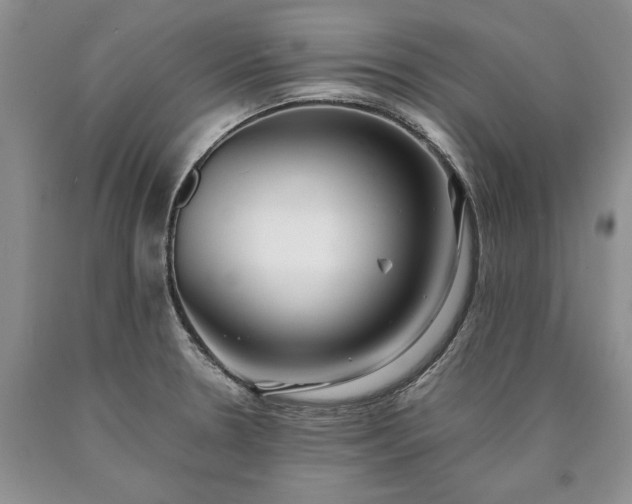 X0000090451330200707201306