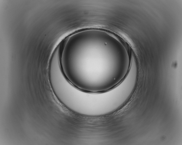 X0000090451332200707201306