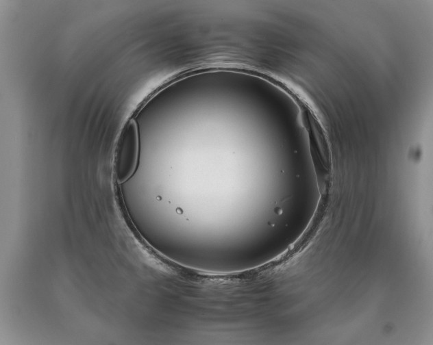 X0000090451333200707201306