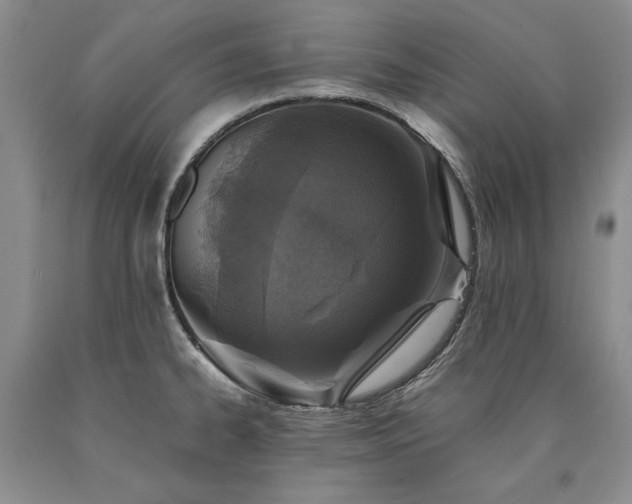 X0000090451334200707201306