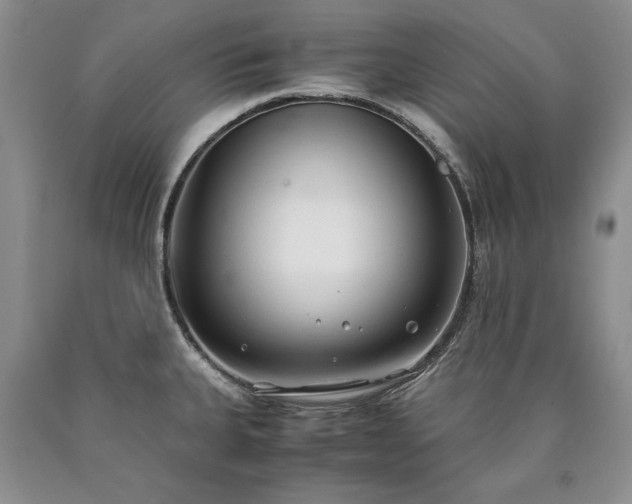 X0000090451335200707201306