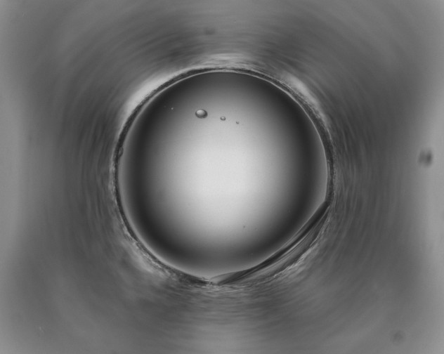 X0000090451336200707201306