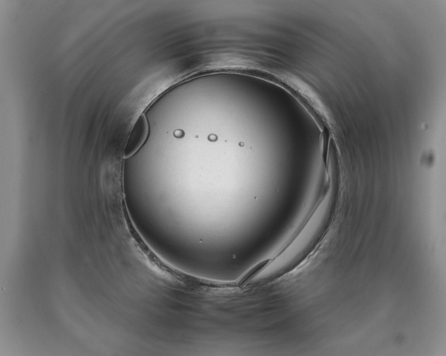 X0000090451337200707201306