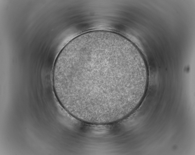 X0000090451338200707201306