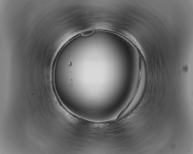 X0000090451339200707201306
