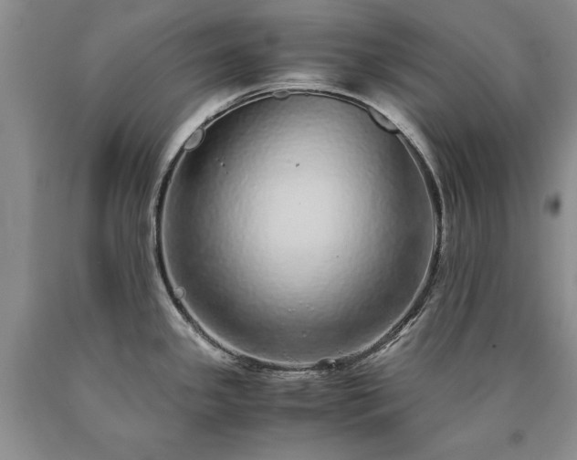 X0000090451341200707201306