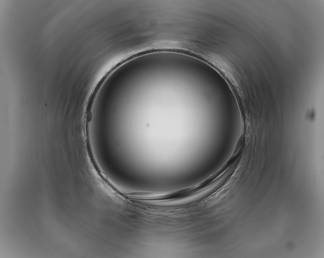 X0000090451342200707201306