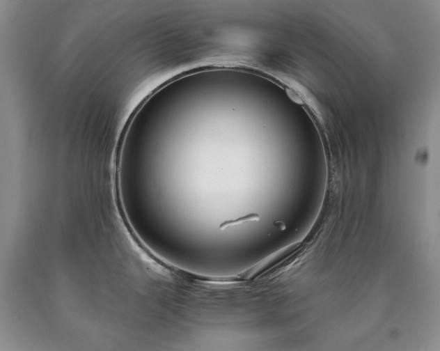 X0000090451343200707201306