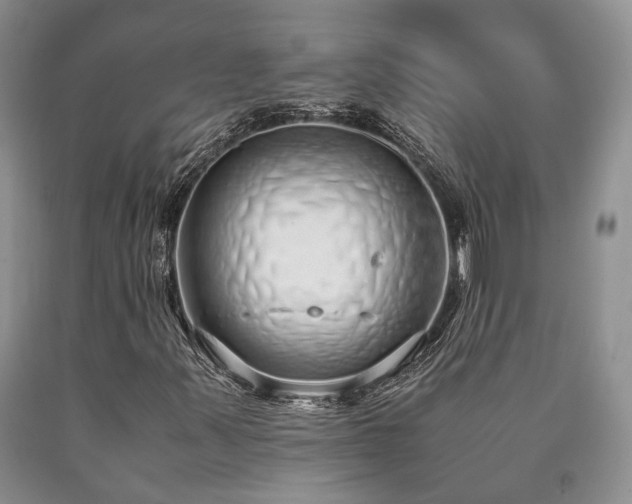 X0000090451347200707201305